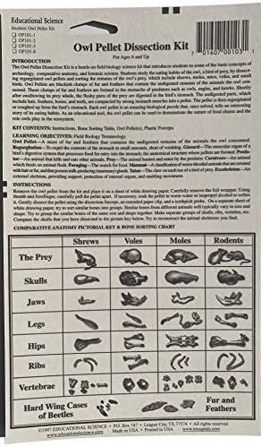 Owl Pellet Kit, 3 Pellet, Bone Sorting Chart - Image 2