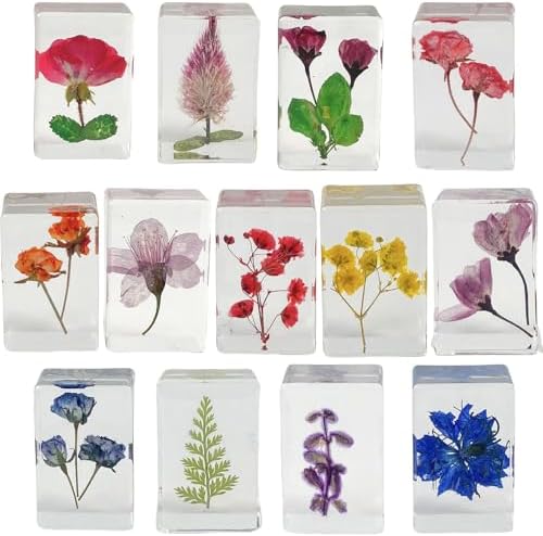 13pcs Ucubwfu Plant Specimen, Drip Resin Dried Flower Specimen, Real Flower Specimen for Microscope, Science Education Products for Kids by Ucubwfu