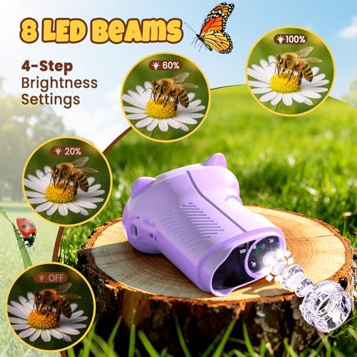 Handheld Digital Mini Microscope for Kids: 1000X 4K Portable Pocket 2.4" Screen Microscopes Toys STEM Electronic Learning Educational Science Kit 8-12 Birthday Gift 4 5 6 7 Year Old Boy Girl - Image 5
