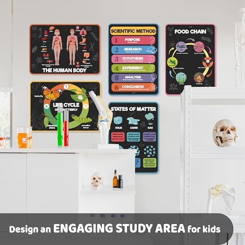 Jackinthebox 12 Science Posters for Kids Classroom Decor, Elementary School - Image 5