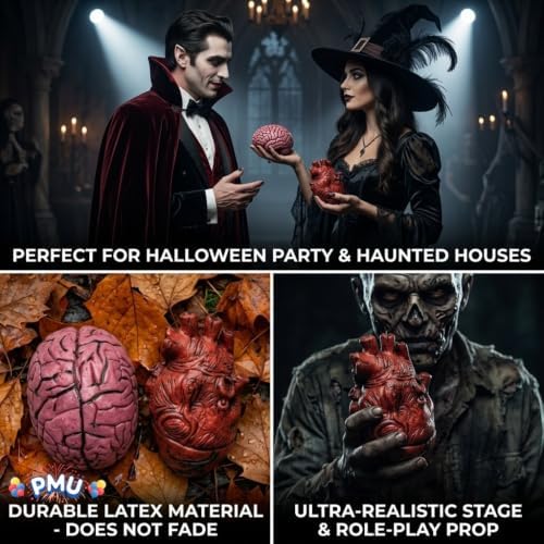 PMU 2 Pcs Set Fake Brain & Fake Heart Body Parts Anatomy Models - Image 2
