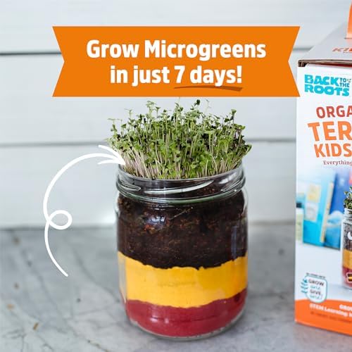 Back to the Roots Terrarium Grow Kit - Easy-to-Use DIY Set for All Ages Small - Image 4