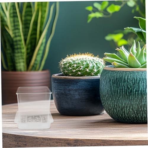 Yardwe 1set Clear Plant Pots with Drainage Holes Transparent Hydroponic for Boys and Girls Educational Gardening Tool for Root Observation and Plant Growth - Image 4