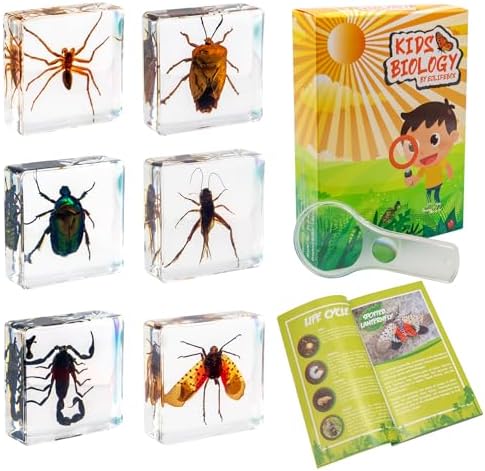 Insect Specimen Set, Bugs Collection Scientific Education Gift for Kids Aged 3-8-12 (Spider, Scorpion, Cricket, Chafers, Stink Bug, Spotted Lanternfly Resin Collection) by EJLIFEBOX