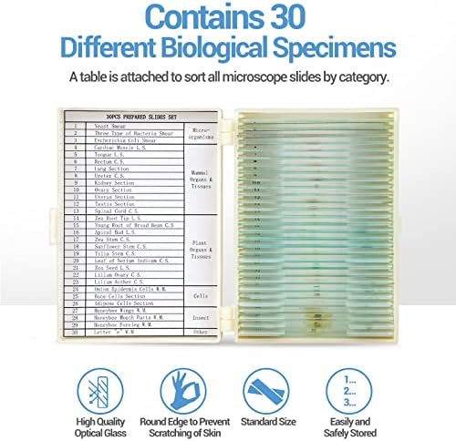 30 Microscope Slides with Specimens for Kids, Prepared Microscope Slides for Kids Microbiology, Glass Slides for Microscope, Biology Gifts for Adults Kids - Image 4