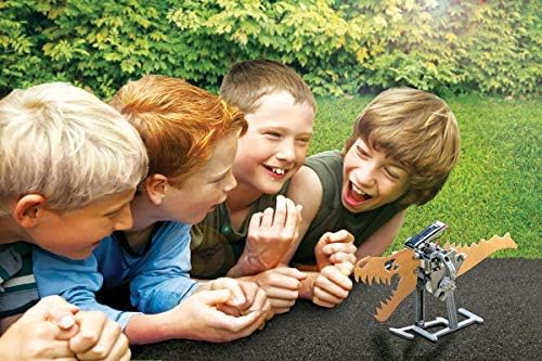 4M Green Science Solar Robot Kit - Green Energy Robotics, Eco-Engineering - STEM Toys Educational Gift for Kids & Teens, Girls & Boys (Packaging May Vary), Multi - Image 5