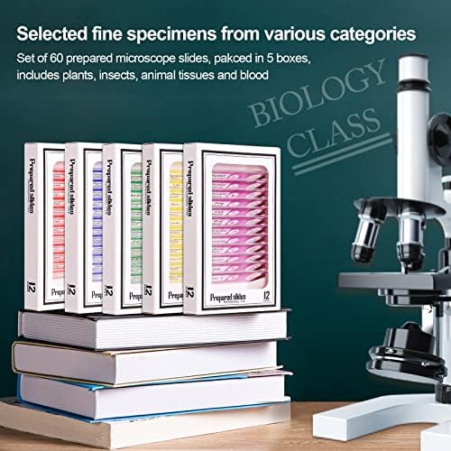 Prepared Plastic Microscope Slides with Specimens for Kids, Microscope Sample Slides Full Range of Animal/Plant/Insect/Blood Biology Slides Gift Set for Kids Microscope (60PCS) - Image 2