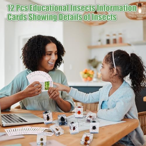 GlikCeil 12 Pcs Insect in Resin Specimen Bugs with 10x Magnifier for Kids - Image 5