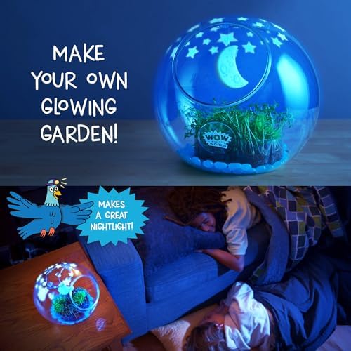 Wow in The World Light-UP Terrarium | Grow Plants, Decorate Your Terrarium, Glow-in-The-Dark, UV Lights, Companion Audio Content, Bonus Reusable Science Tool, STEM Toy for Kids 6+ by Thames & Kosmos - Image 2
