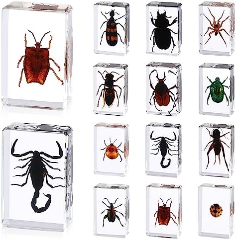 12 Pcs Insect in Resin Specimen Butterfly Bugs Collection Paperweights，12 Styles Real Bug Specimen Bug Kit Preserved in Resin for Scientific Educational Display Supplies (Insect) by ABURRORI