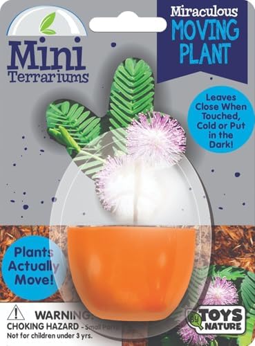 Toys By Nature Mini Terrarium Moving Plant Bundle, 100% USA Made Complete Starter Kit for Indoor Planting, Interactive Gardening Experience and Easy to Grow Seeds Just Add Water, 5-Pack - Image 3