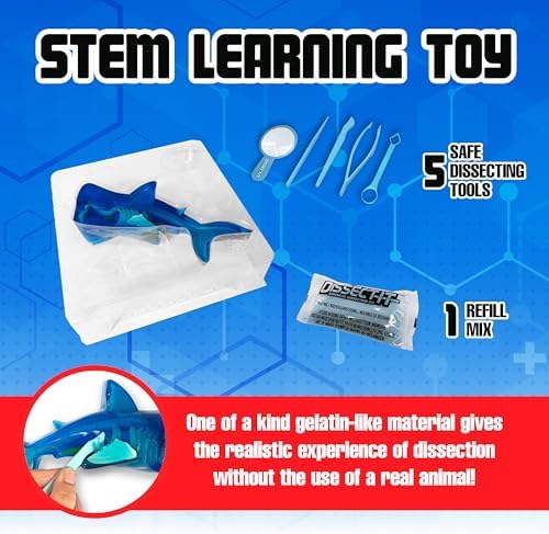 Dissect-It, Shark Dissection Kit, STEM Toys for Kids, Ages 6+ - Image 3
