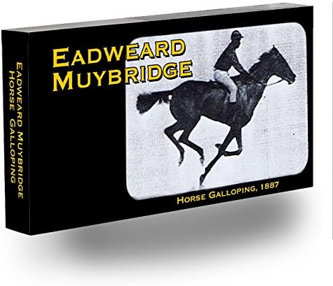 Muybridge Horse Flipbook for Kids 6-12, Animation Flip Book for Children by Fliptomania