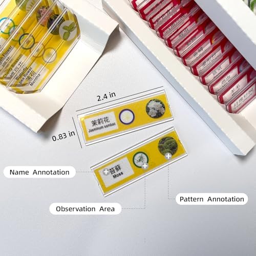 48 Prepared Microscope Slides Set, Insects Animal Plant Fruit Vegetable Specimens, Biological Learning Resource Specimens for Beginner Classroom Basic Science Education (MS-01) - Image 5