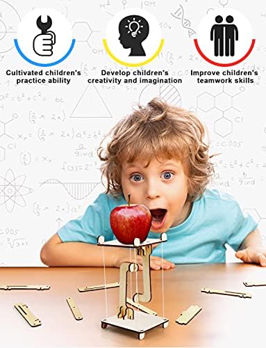 Poraxy 7 Sets Model Car Kits for Boys 8-12, STEM Kits for Kids Age 8-12, Science Toys for Kids Age 5-7, Birthday Gifts 7 8 9 10 11 12 13 Yr Old Boys Girls Wood Building Crafts Kits 6-8 - Image 2