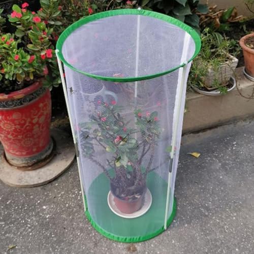 Butterfly Net Cage 11.8 x 15.7 Inch Caterpillar Enclosure with Zipper - Image 3