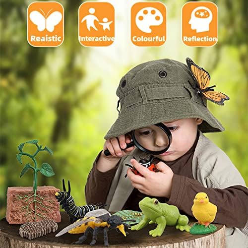 Montessori Chicken Life Cycle with Flash Cards, Realistic Animal Figurines Toy, Animal Educational Matching Game for 3+ Year Old Kids (Cock) - Image 4