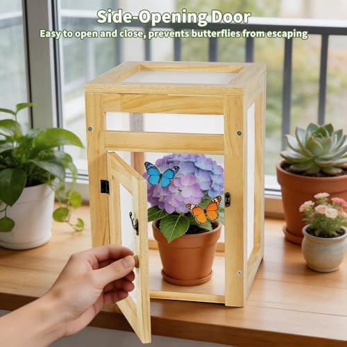 Wooden Butterfly Habitat Cage Kit, 15.75 Inch Monarch Caterpillar Habitat, Mesh Butterfly Enclosure for Raising Butterflies, Insect Observation House for Kids, Classroom, Garden - Image 6