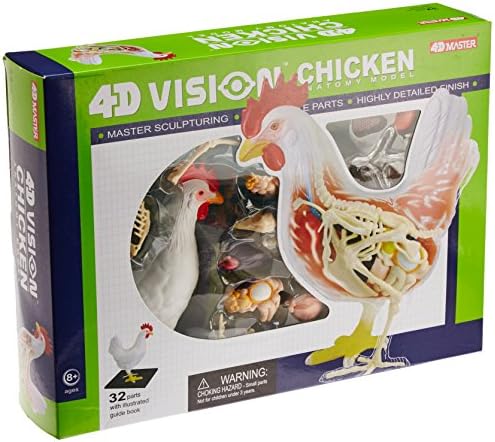 4D Chicken Anatomy Model Kit, STEM Biology Learning Toy, Ages 8+ - Image 2
