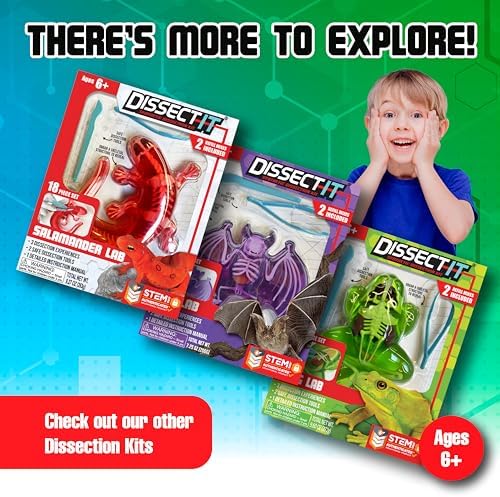 Top Secret Toys Mega Lab Dissect It Kit for Kids, Synthetic Frog and Piranha Dissection Kids Science Kit with Tools, STEM Biology Toys for Ages 6+ - Image 6