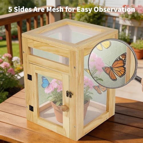 Wooden Butterfly Habitat Cage Kit, 15.75 Inch Monarch Caterpillar Habitat, Mesh Butterfly Enclosure for Raising Butterflies, Insect Observation House for Kids, Classroom, Garden - Image 4
