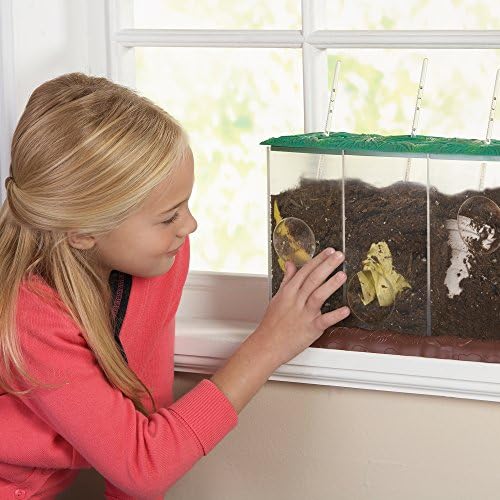 Educational Insights See-Through Compost Container - STEM Kits for Kids, Homeschool or Classroom Earth Science Kit, Practice Observation & Learn about Nature, Science Experiments for Kids Ages 4+ - Image 2