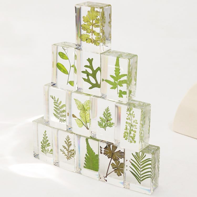 12pcs Dried Green Plant Flower Drip Gel Specimen, Children's Hobby Science Education Products, Microscope Observed Green Leaf Specimen - Image 6