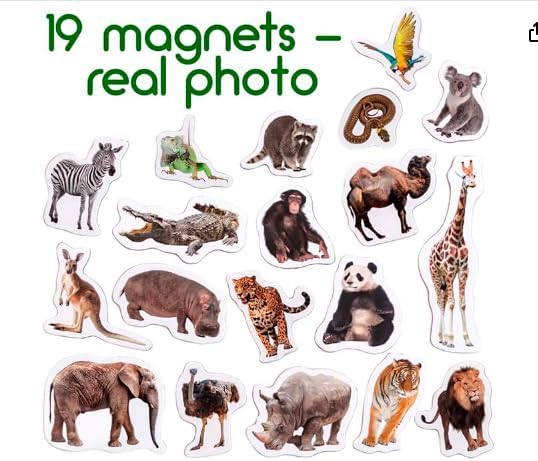 Fridge Magnets for Kids - 19 Zoo Animal Magnets - Educational Toy - Image 3