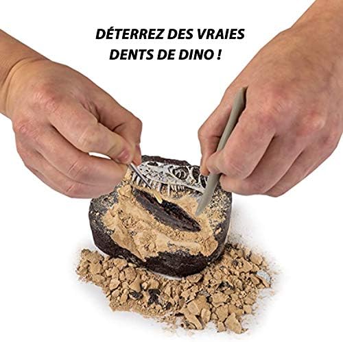 National Geographic Dinosaur Dig Kit - Fascinating Excavation Kits for Kids with Replica T-Rex Tooth and Genuine Dino Poop Fossil | STEM Educational Science Kits Gifts for 8+ Year Old Boys and Girls - Image 3