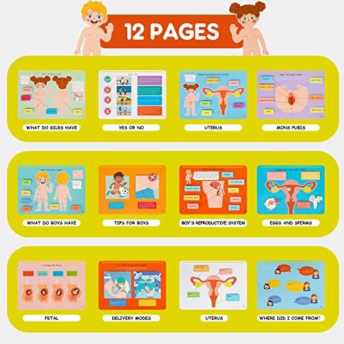 Freebear Montessori Busy Book for Kids, Human Body Anatomy Book for Toddlers, Preshool Kindergarten Learning Activities, Autism Sensory Toys, Gifts for Girls and Boys 4-7 Years- Human Body Procreation - Image 2