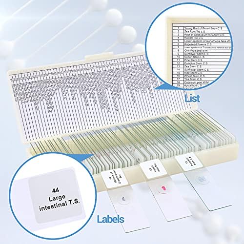 60 Microscope Slides with Specimens for Kids, Prepared Microscope Slides for Kids Microbiology, Prepared Microscope Slides for Adults - Image 4