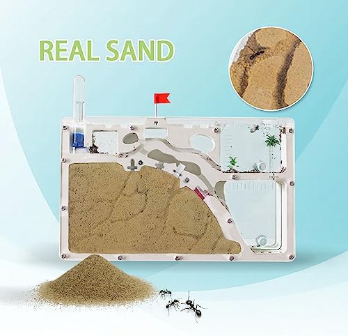ELNMLHT Ant Farm Castle, Ant Farms with Yellow Sand and Tool Kit, Ant Colony Observation Kit, Ant Viewing Habitat Science Kit, Educational & Learning Science Kit for Kids, Adults, Student - Image 2