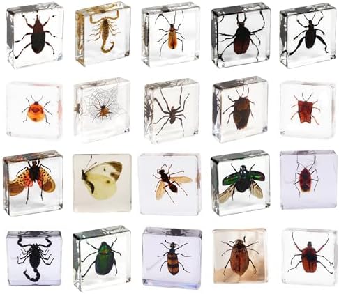 20-Pcs Insect Specimens in Resin Crystal Preserved, Taxidermy Bug by Aolowewin