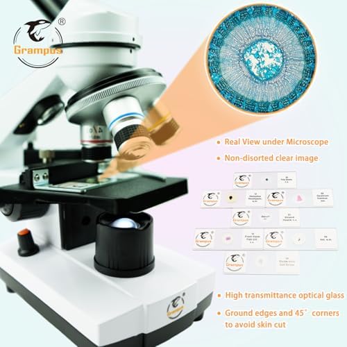 30 Prepared Microscope Slides with Specimens for Kids Students - Animals Plants Insects Microorganism, for Biological Science Lab, Children's Science Education, Homeschool - Image 3