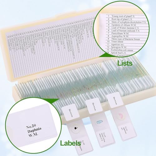 60 Pieces Prepared Microscope Slide Set with Specimens, Plant Animal Cell Science Education Microscope Slides for Bioscience Labs - Image 2