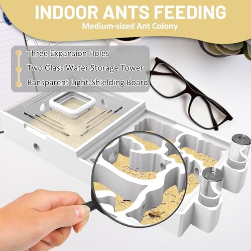 Ant Nest Farm for Live Ants and Queen - Ant Colony Observation Ant Farms with Yellow Sand Transparent Ant Farm for Adults 3D Printed Nest Ant Workshop Castle Ant Garden Queen (Kit-C) - Image 3