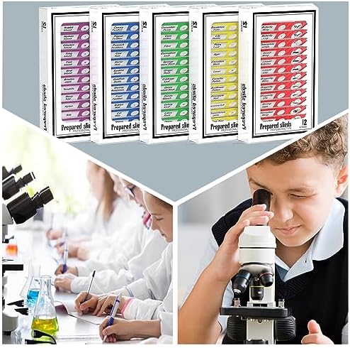 60pcs Plastic Prepared Microscope Slides - Image 6