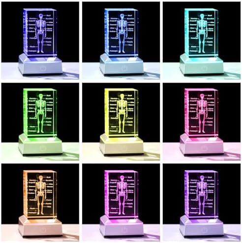 3D Crystal Human Skeleton Anatomy Model Medical Decor Gifts for Doctor, Laser Etched Science Biology Figurine Paperweight Psychology Graduation Gifts for Medical Students with LED Base - Image 2