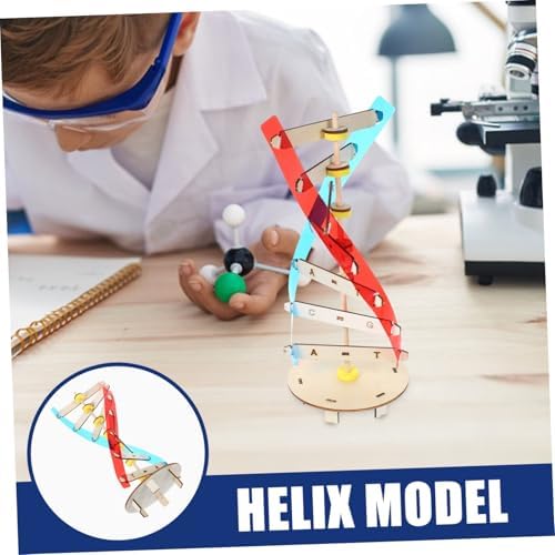 DIY DNA Double Helix Model Teaching Tool for Kids and Students - Image 5