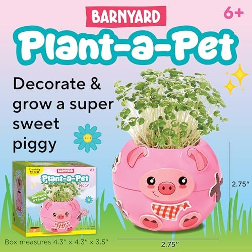Creativity for Kids Plant-a-Pet Barnyard Pig Kit | Decorate, Plant & Grow Your Own Pet | Chia Seed Gardening Craft | Spring Crafts & Screen-Free Kids Activity (Ages 6+) - Image 3