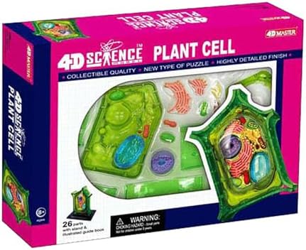 4D Plant Model, Plant Cell Anatomy Model, Removable Chloroplast Organelles Biology Teaching Model for Study Display Teaching - Image 6