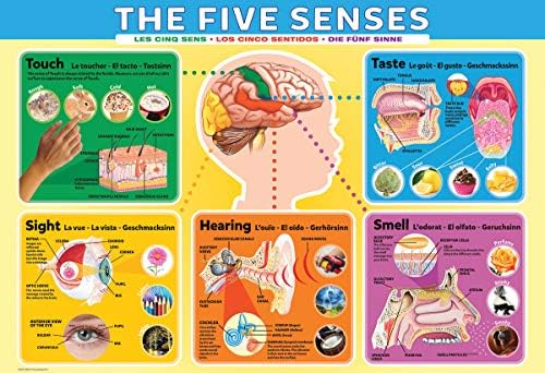 EuroGraphics Five Senses Jigsaw Puzzle (200-Piece) - Image 2