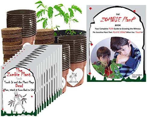 Zombie Plant Classroom or Homeschool Science Fun Planting Party kit - for 30 Students - Grow The Halloween Plant that “Plays Dead When You Touch it! Includes The Zombie Plant Care Book. by TickleMePlantandZOMBIEPLANTProducts