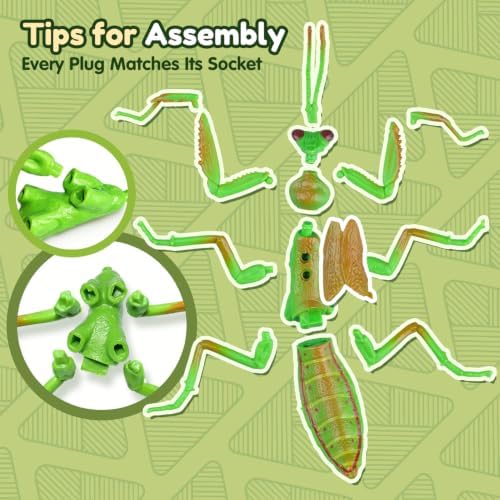 Drefirsa 8Pcs Realistic Bug Building Toy, Educational Toy for Kid Age 6+ - Image 4