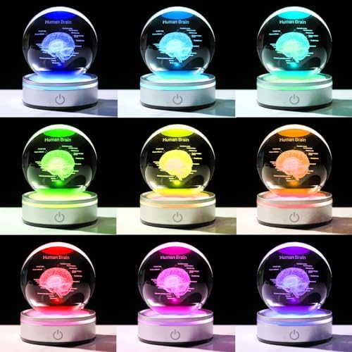 Brain Gifts for Neurologist, Laser Ethced Human Brain Anatomical Model 3D Crystal Ball, Brain Surgery Gifts for Doctors, Physiology Graduation Gifts for Medical Students for Christmas - Image 5
