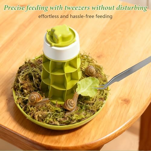 Snail Terrarium Kit Insect Enclosure Bug Terrarium Observation Container Praying Mantis Habitat Breeding Box Micro Habitat Starter Kit for Beetles Spider Small Reptile - Image 4