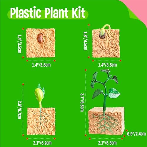 15 Plant Life Circle Flashcards with 4 Plastic Figurines-Seed to Plant, Plants Introduction Card Plants Growth Details for Nature Lovers & Adults, Montessori Toy for Kids - Image 3