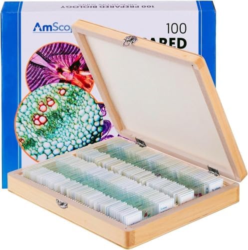 AmScope PS100E Prepared Slide Set, 100 Slides Set E by AmScope