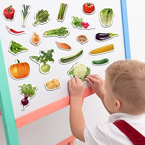 Fridge Magnets for Toddlers – Big 25 Vegetable - Educational Toy - Image 5