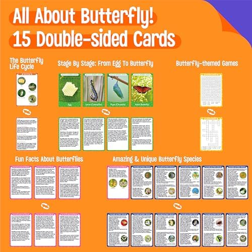 15 Butterfly Life Circle Flashcards with 4 Plastic Figurines, Butterflies Introduction Cards Plastic Insects Egg to Butterfly Kit Toy for Kids, Adults, Animal Lovers - Image 2